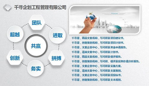 涇陽千尋楊工編制項目匯報材料確保通過